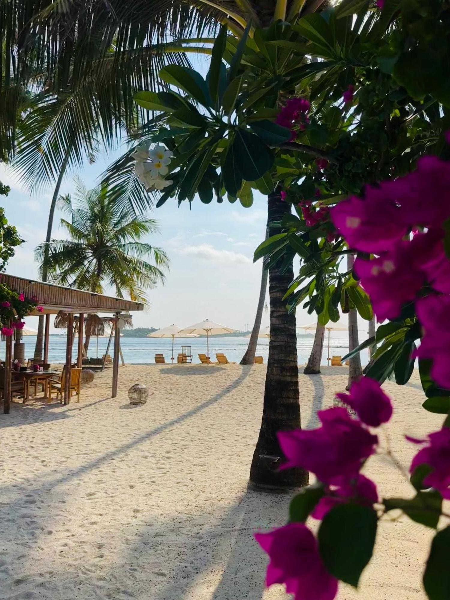 Met House Hotel Thulusdhoo Exterior foto