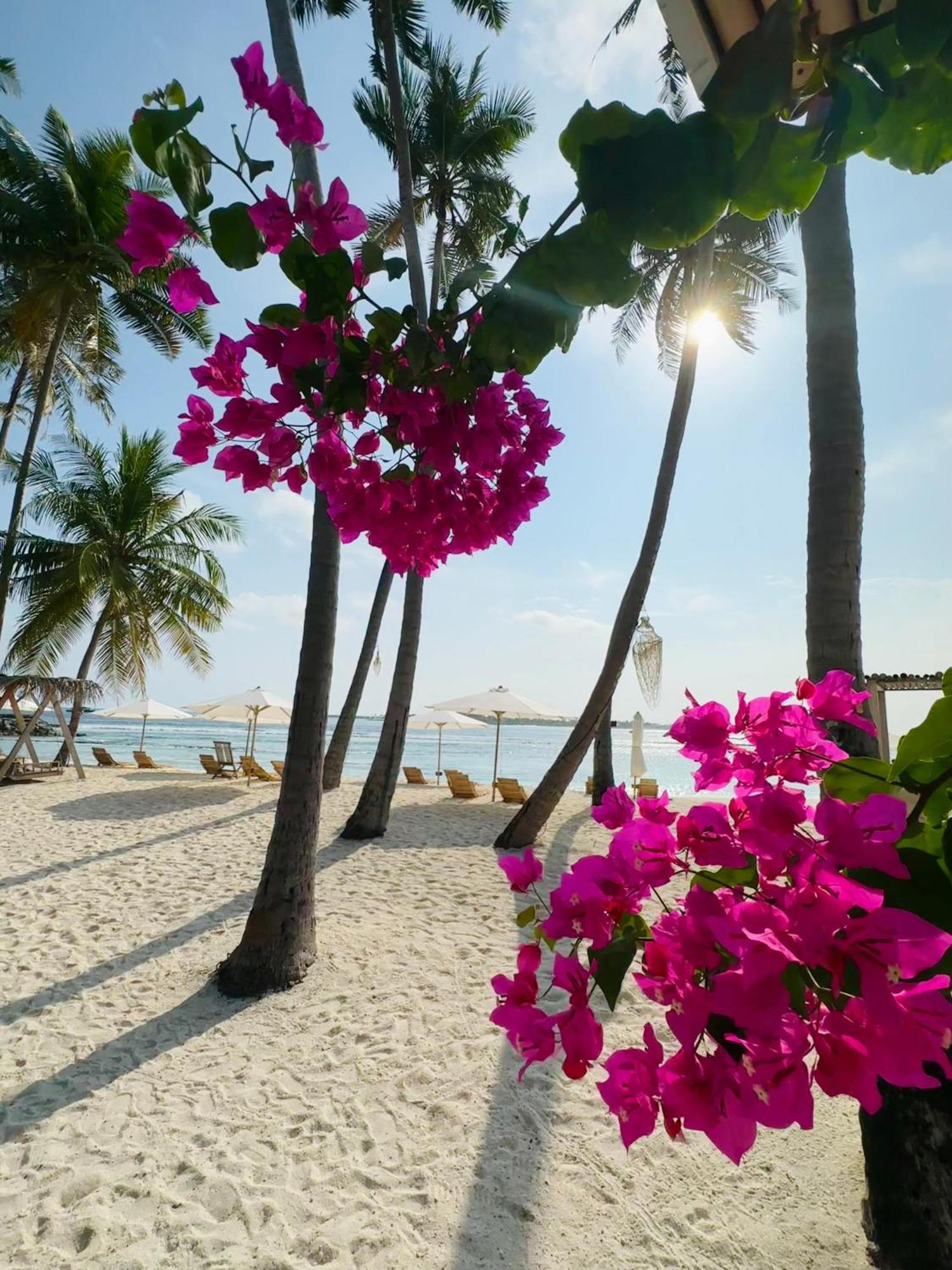 Met House Hotel Thulusdhoo Exterior foto