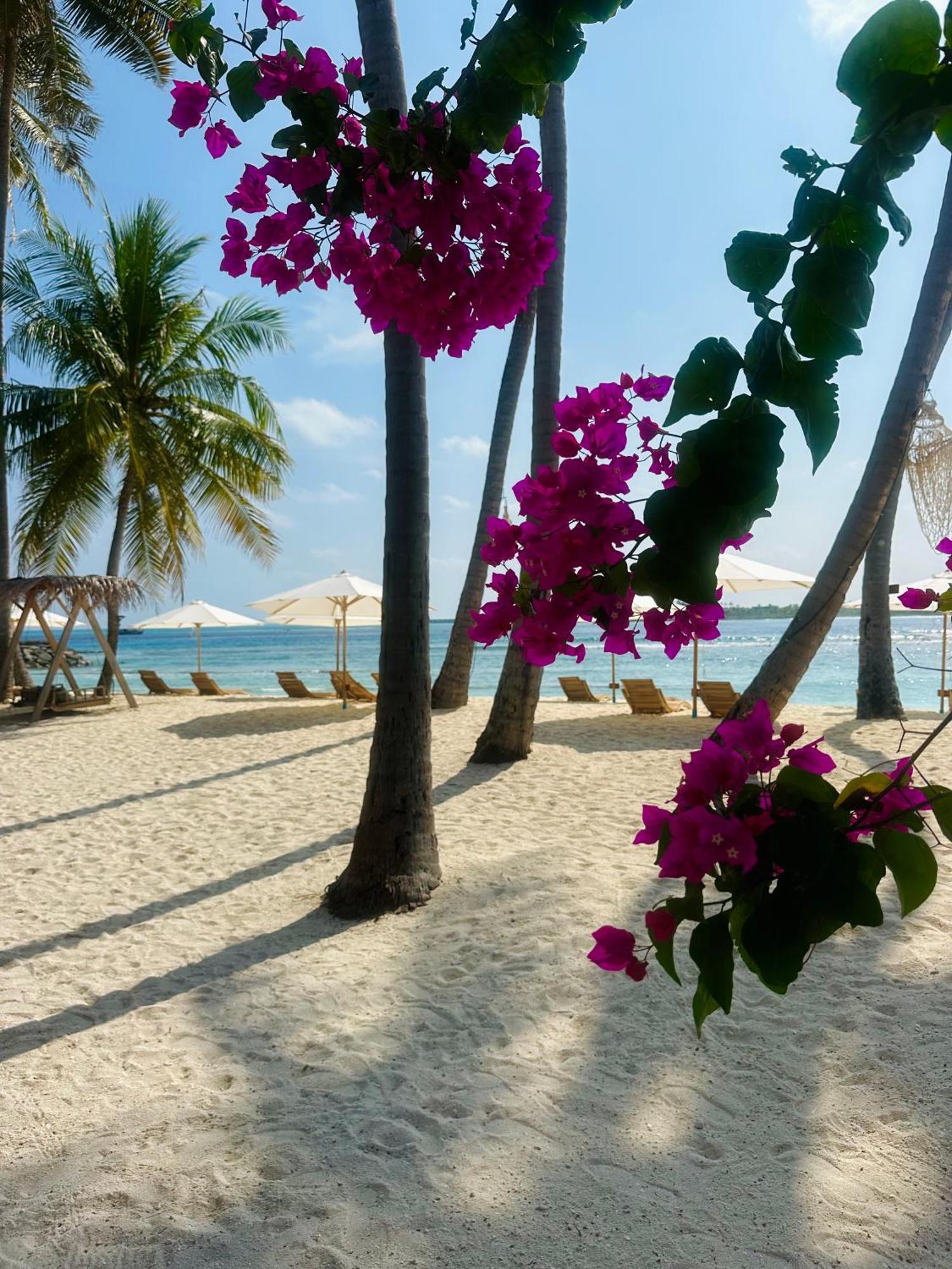 Met House Hotel Thulusdhoo Exterior foto