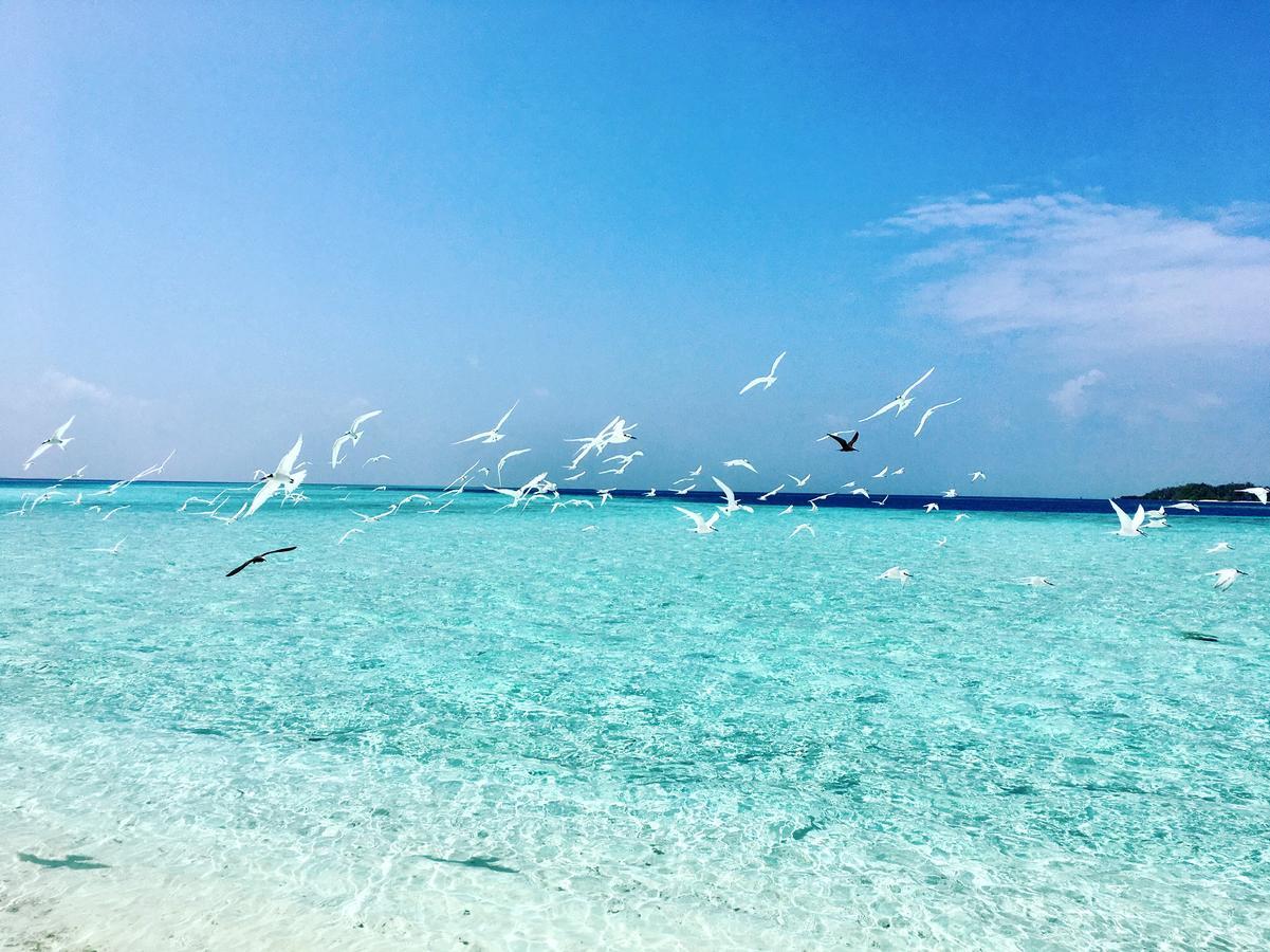 Met House Hotel Thulusdhoo Exterior foto